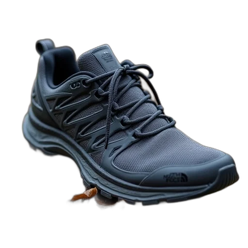 shoes, 3d render, north, face transparent PNG cut-out