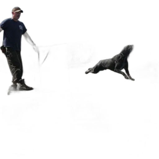 animal, staff, creature, concept art transparent PNG cut-out
