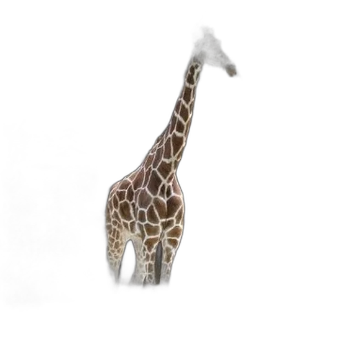 animal, creature, staff, hat transparent PNG cut-out