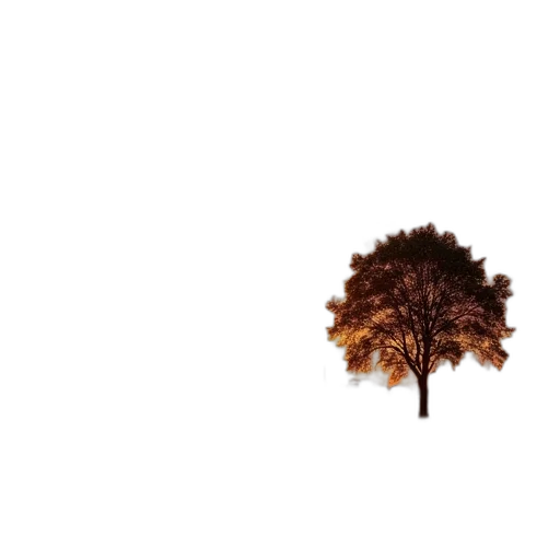 tree, crown, hair, umbrella transparent PNG cut-out
