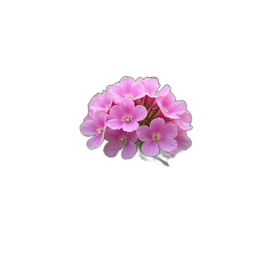 jewelry, flower, crown, staff transparent PNG cut-out