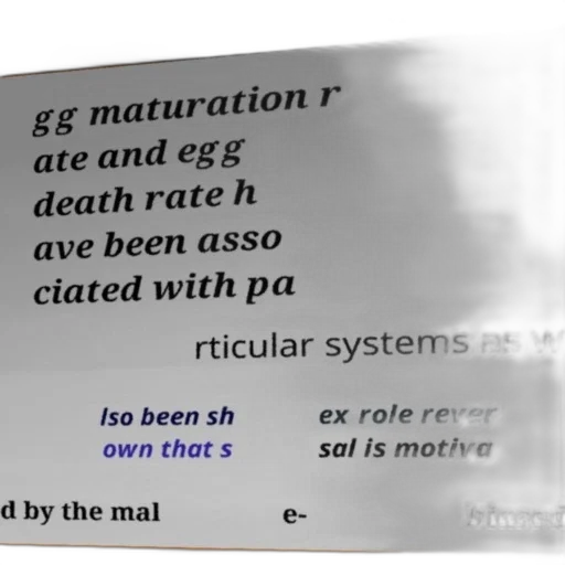 image, contains, text, discussing transparent PNG cut-out