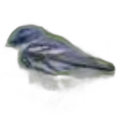 hat, shoes, animal, jewelry transparent PNG cut-out