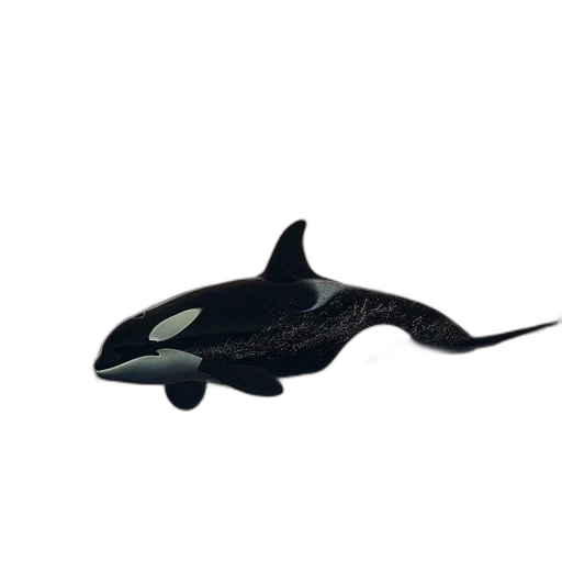 animal, creature, weapon, shoes transparent PNG cut-out