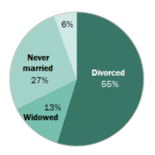 pie, chart, showing, distribution transparent PNG cut-out