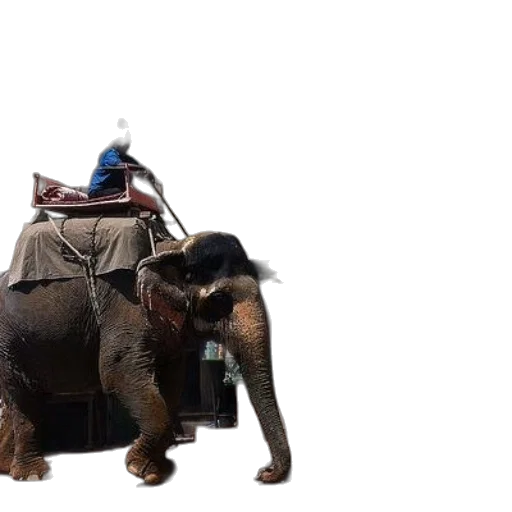animal, robot, hat, staff transparent PNG cut-out