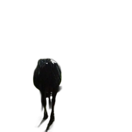 hat, hair, crown, umbrella transparent PNG cut-out