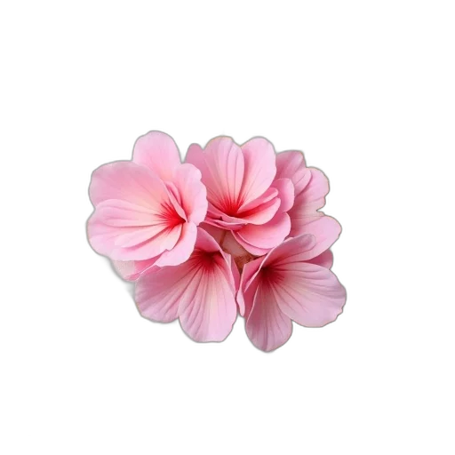 flower, jewelry, crown, staff transparent PNG cut-out