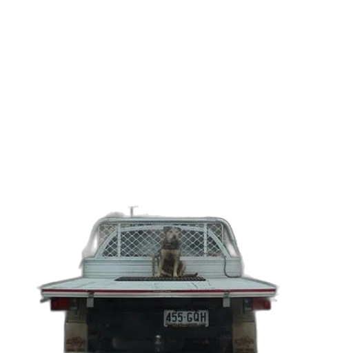 car, robot, animal, furniture transparent PNG cut-out
