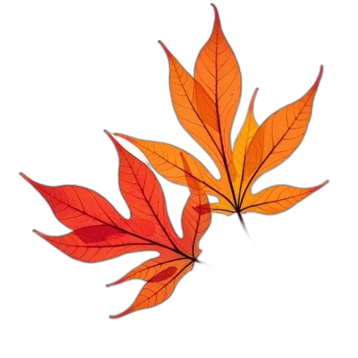 crown, flower, tree, photorealistic transparent PNG cut-out