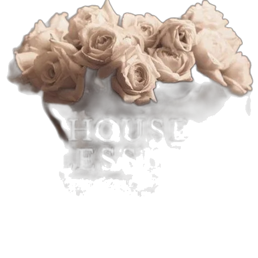 flower, jewelry, crown, staff transparent PNG cut-out