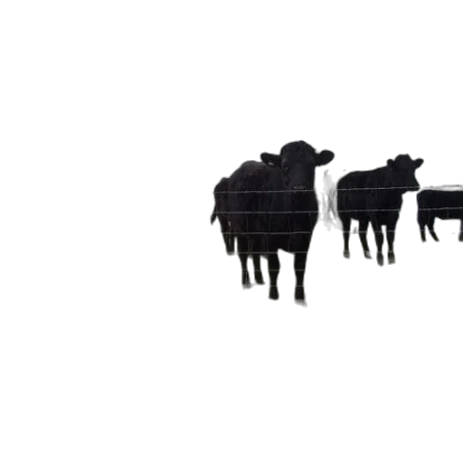 animal, food, pixel art, concept art transparent PNG cut-out