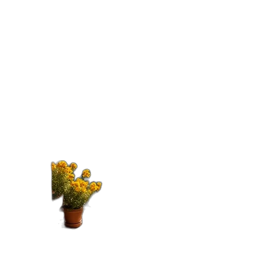 flower, crown, tree, creature transparent PNG cut-out