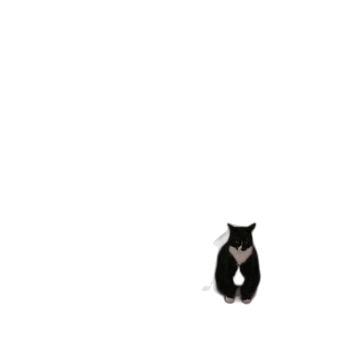 animal, creature, robot, staff transparent PNG cut-out