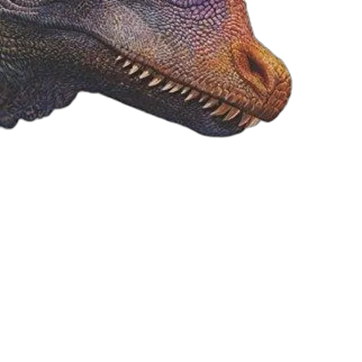 dragon, animal, creature, face transparent PNG cut-out