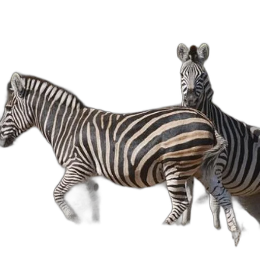 animal, creature, 3d render, concept art transparent PNG cut-out