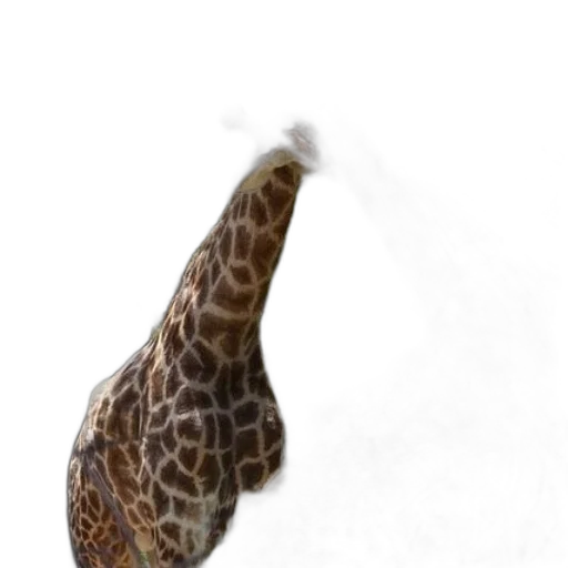 animal, staff, hat, creature transparent PNG cut-out
