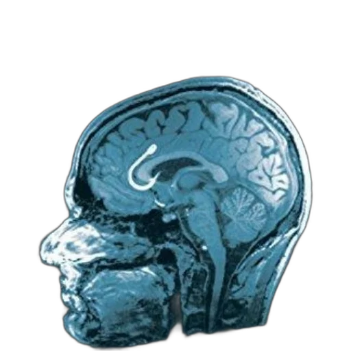 crown, mask, jewelry, face transparent PNG cut-out
