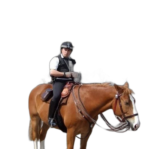 staff, animal, jacket, weapon transparent PNG cut-out