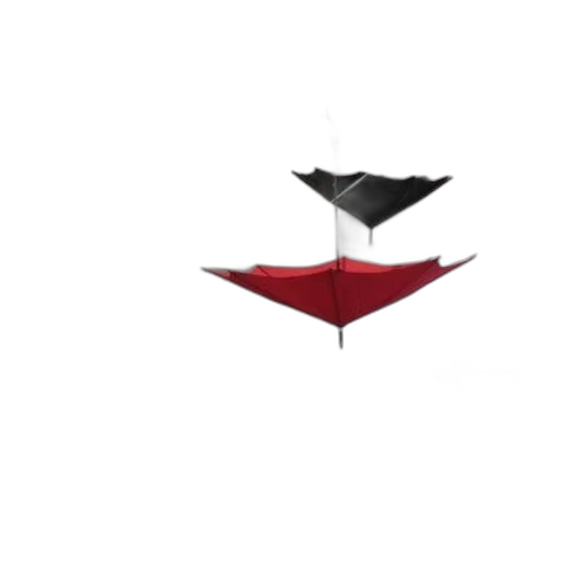 umbrella, hat, jewelry, staff transparent PNG cut-out