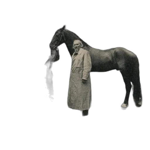 animal, jacket, staff, dress transparent PNG cut-out