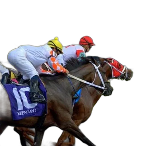 horse, race, jockeys, colorful transparent PNG cut-out