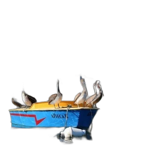 crown, animal, shoes, food transparent PNG cut-out