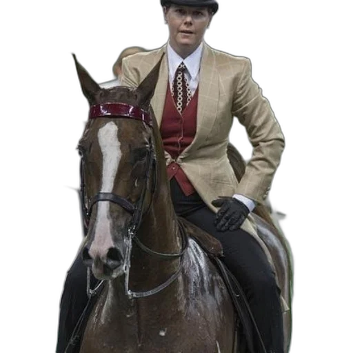 jacket, staff, hat, animal transparent PNG cut-out