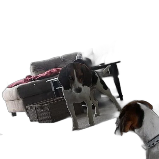 robot, animal, weapon, car transparent PNG cut-out