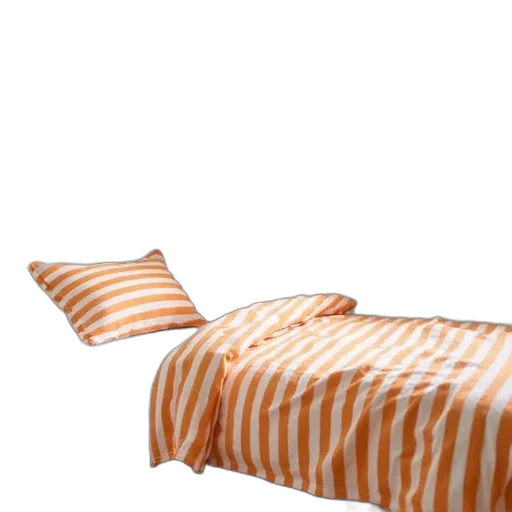 furniture, animal, shoes, dress transparent PNG cut-out