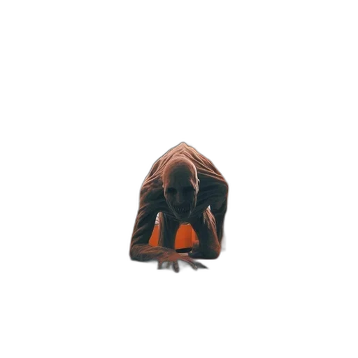 animal, creature, mask, hair transparent PNG cut-out
