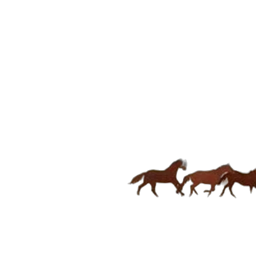 animal, dragon, creature, hair transparent PNG cut-out
