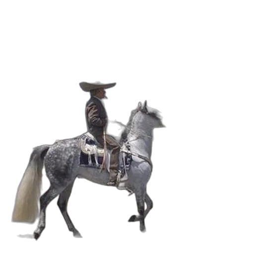 sword, animal, hat, staff transparent PNG cut-out