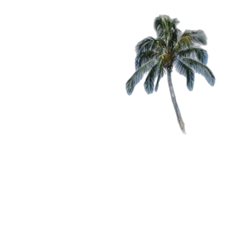 tree, umbrella, hat, weapon transparent PNG cut-out