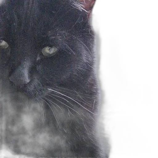 animal, creature, photorealistic, black transparent PNG cut-out