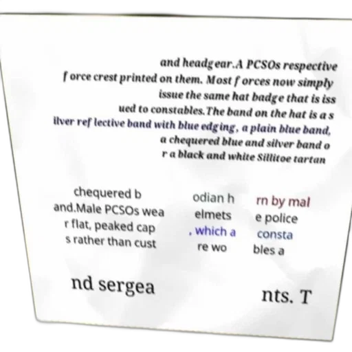 detailed, description, police, headgear transparent PNG cut-out
