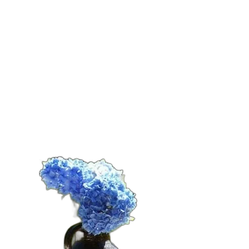 crown, staff, tree, umbrella transparent PNG cut-out