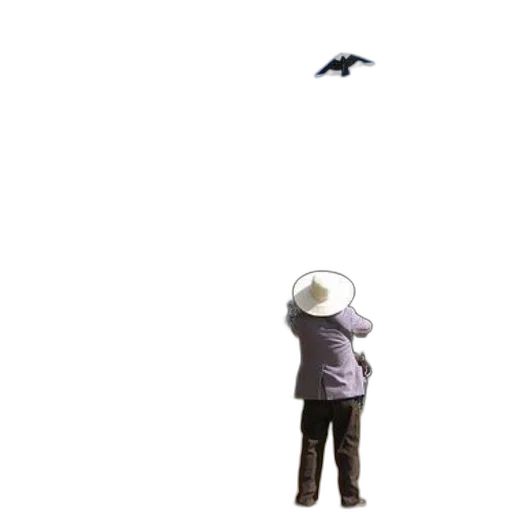 hat, umbrella, mask, animal transparent PNG cut-out