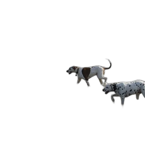 animal, creature, 3d render, concept art transparent PNG cut-out