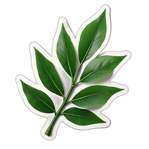flower, staff, jewelry, crown transparent PNG cut-out