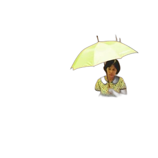 umbrella, staff, hat, jacket transparent PNG cut-out