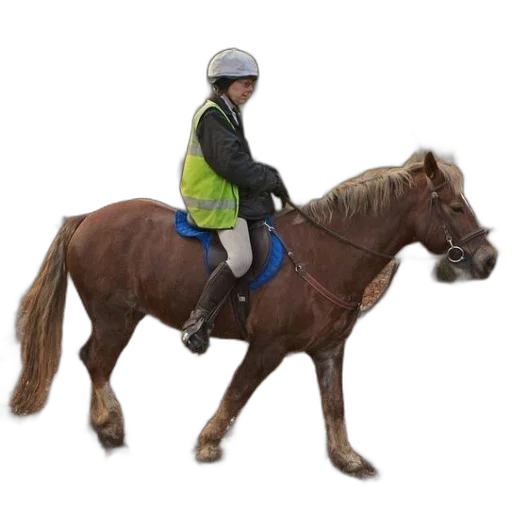 jacket, staff, animal, person transparent PNG cut-out