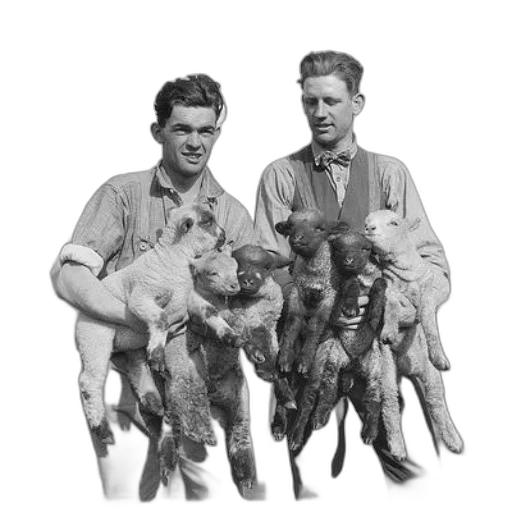 animal, staff, two, men transparent PNG cut-out