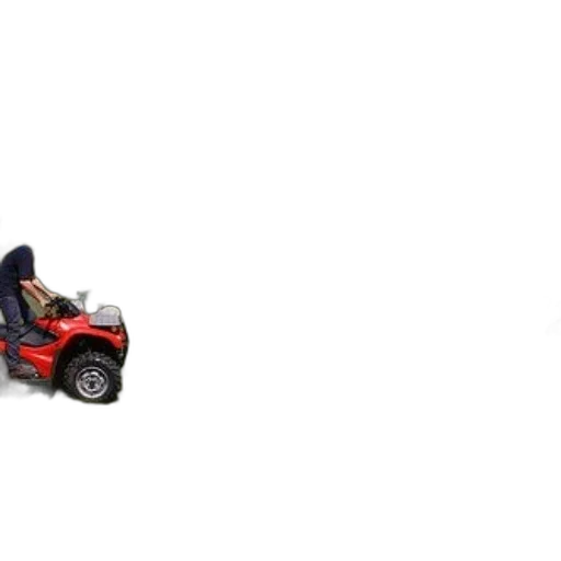 car, furniture, animal, weapon transparent PNG cut-out