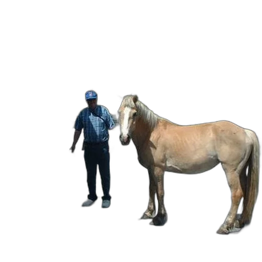 animal, creature, staff, weapon transparent PNG cut-out