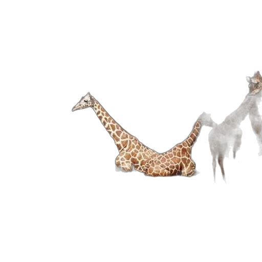 animal, creature, dragon, jewelry transparent PNG cut-out