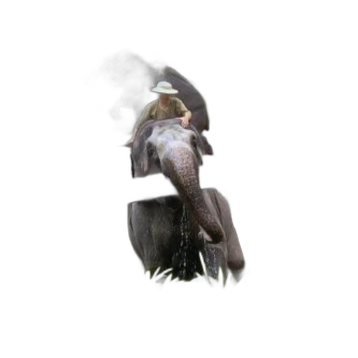 dragon, animal, creature, mask transparent PNG cut-out