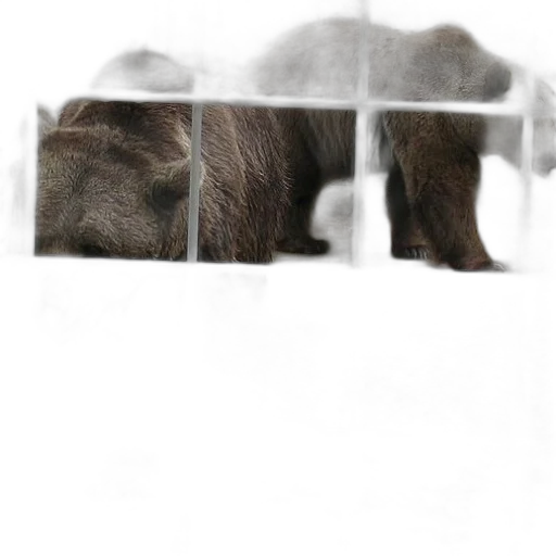 animal, face, creature, furniture transparent PNG cut-out