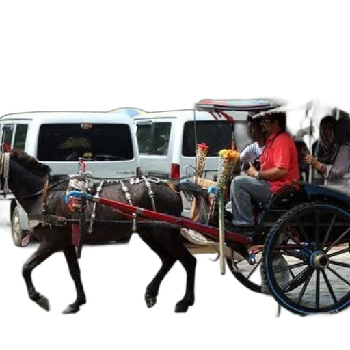 car, staff, animal, weapon transparent PNG cut-out