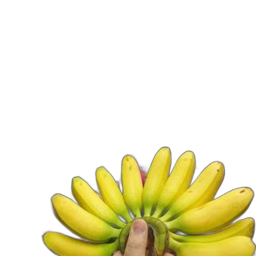 flower, food, crown, weapon transparent PNG cut-out
